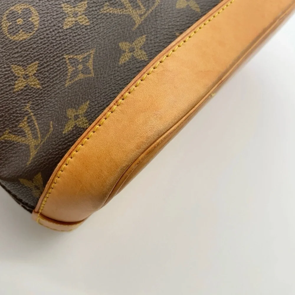 Louis Vuitton brand louis